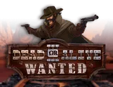 Dead or Alive 3 Wanted